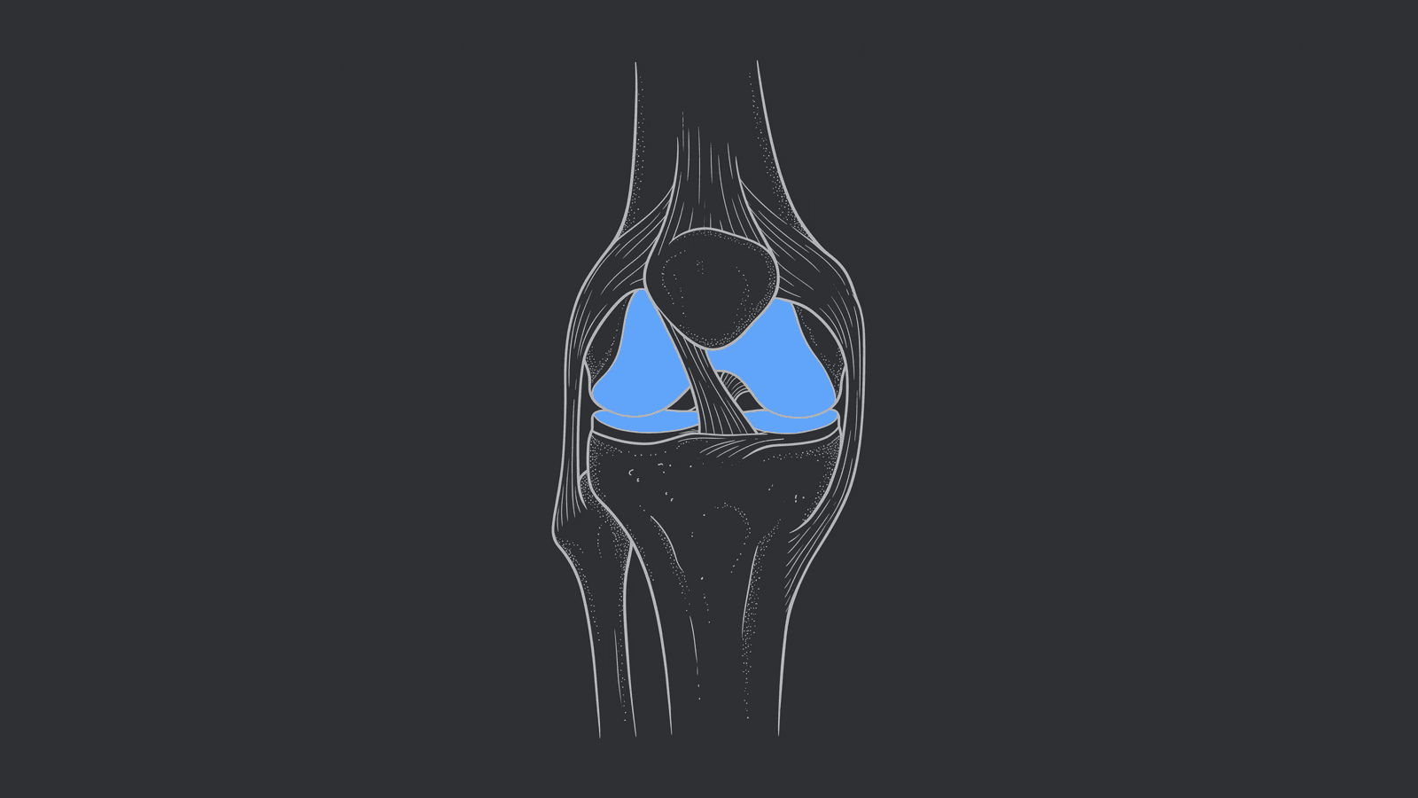Line illustration of a knee joint