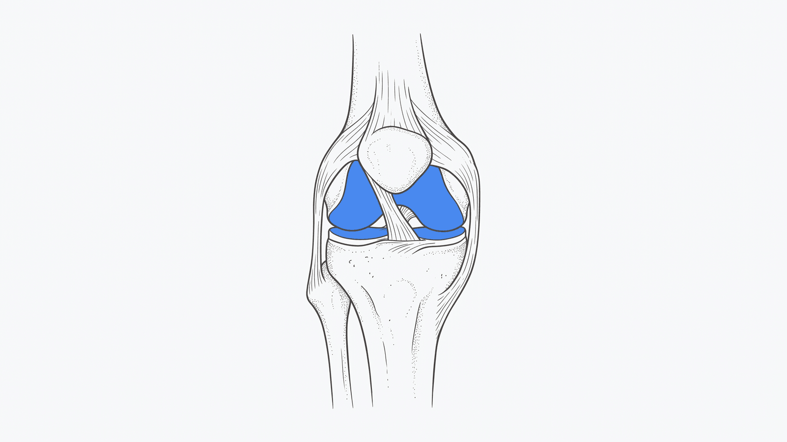 Line illustration of a knee joint